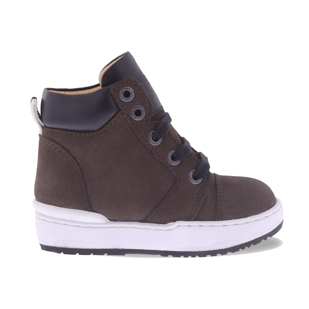 Model: 2269