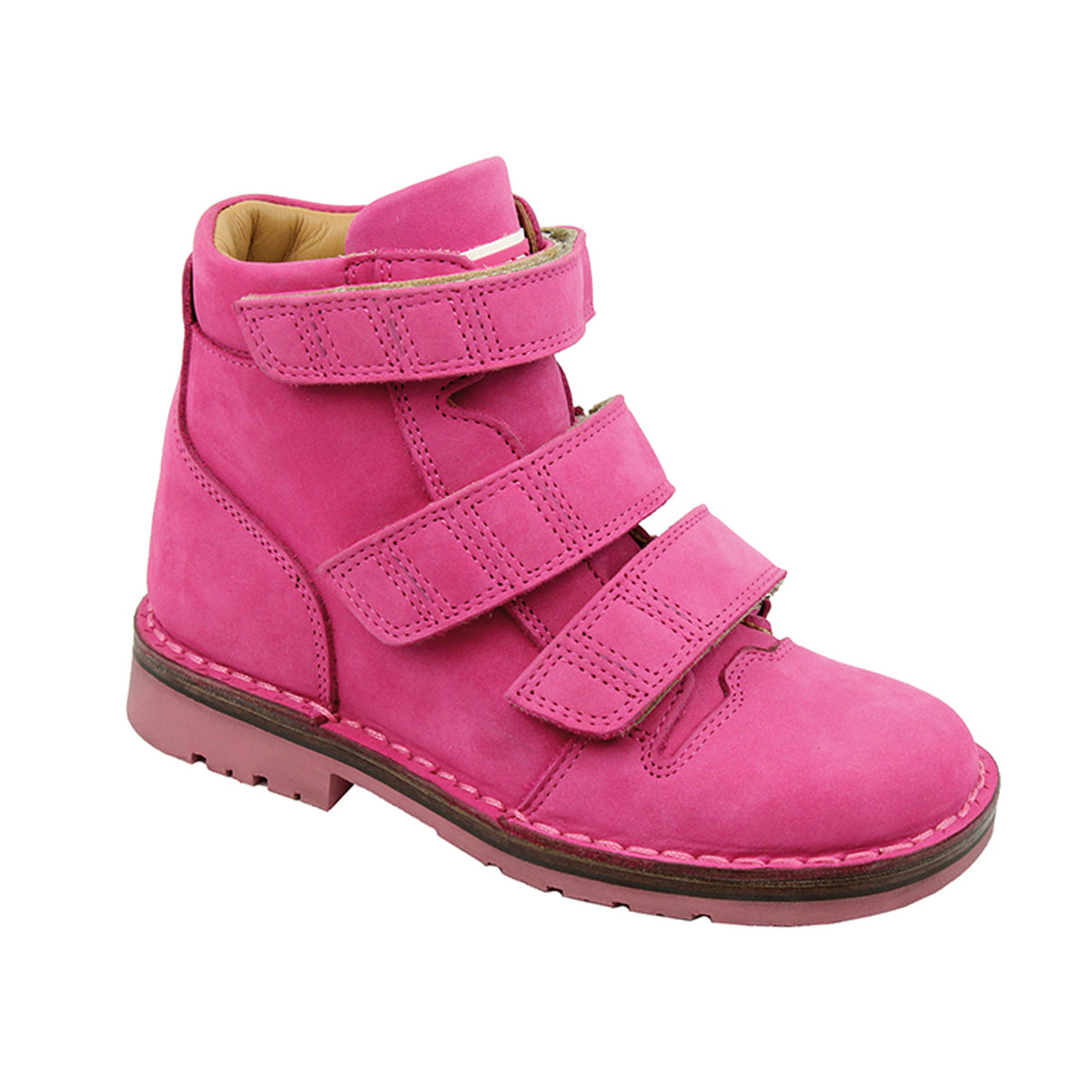 Model: 2481