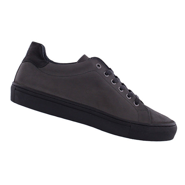 Model:  421.96034.10